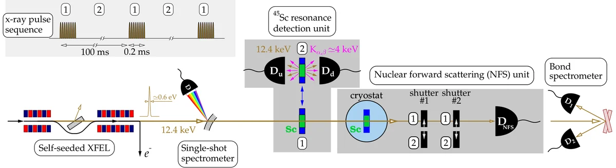 Experimental schematic for resonant excitation of 45Sc nuclei with 12.4-keV x-ray pulses and detection of coherent and incoherent delayed photons. XFEL macropulses sequentially illuminate a movable metallic Sc foil and a crystal target cooled to 20 K. Detectors record delayed 12.4-keV photons and scandium K-shell fluorescence as functions of photon energy and time after excitation.