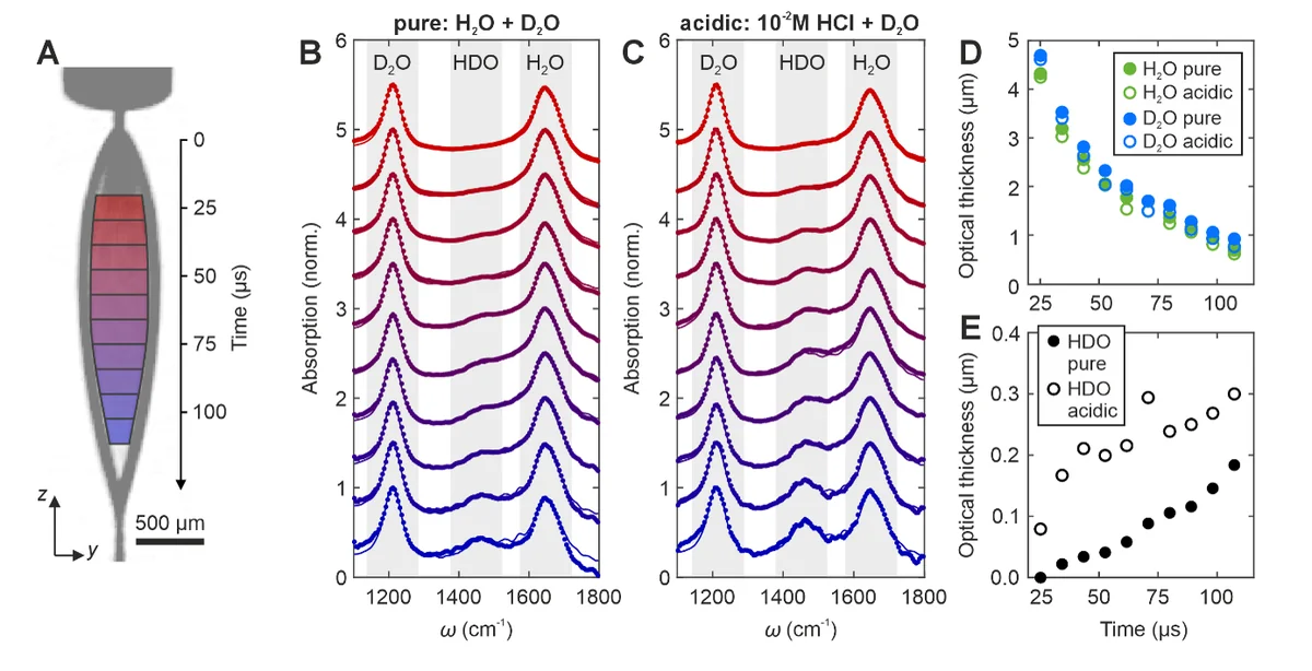 Temporal evolution of the infrared absorption spectra of the H_2O/D_2O interface. (A) Optical density image of H_2O/D_2O LS at _IR=1640 cm^-1 with binned areas (colored boxes) that are used to extract IR spectra from averaging over all pixels in each area corresponding to different times of the reaction, with 10 µs time resolution. (B) Average IR spectra from binned areas in A) recorded at the H_2O/D_2O interface. Besides the vibrational modes of H_2O (1640 cm^-1) and D_2O (1210 cm^-1) the band of HDO (1450 cm^-1) is evolving with reaction time. The lines show fits to the measured data points (symbols) using a linear combination of reference spectra (Methods), where the colors refer to the bins in A). (C) Same as B) but for a 10^-2 M HCl/D_2O LS, which leads to an accelerated formation of HDO. (D) Optical thickness of H_2O (green) and D_2O (blue) and (E) of HDO as a function of time. Full symbols refer to the H_2O/D_2O LS in B), and empty symbols to the HCl/D_2O interface in C).