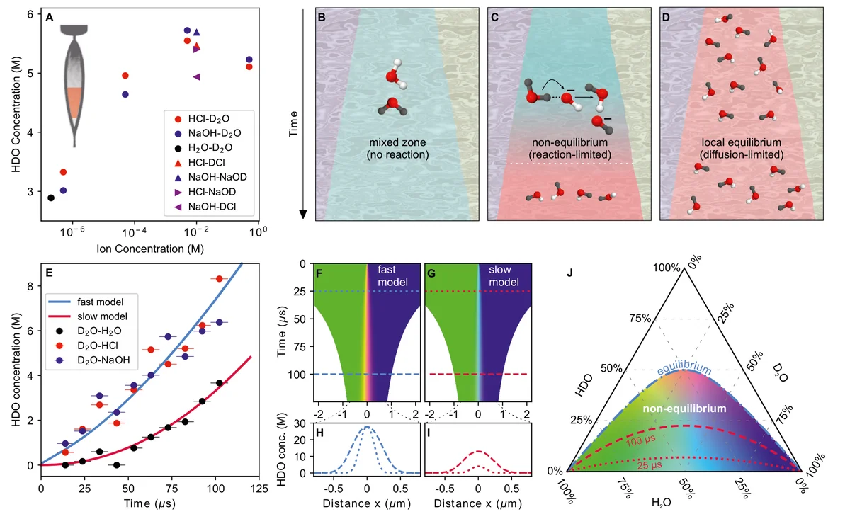 Non-equilibrium state at the liquid-liquid interface. (A) Average concentration of HDO in the bottom half of the LS (see inset) as function of available hydroxide and hydronium ions, using D_2O/(acidic/basic H_2O) (dots) and (acidic/basic D_2O)/(acidic/basic H_2O) (triangles), see legend. (B--D) Conceptual illustration of the three scenarios of the evolution of the H2O/D2O interface: (B) (hypothetical) no HDO formation, mixing only, (C) intermediate rate of HDO formation leading to a non-equilibrium state, and (D) very fast HDO formation resulting in a local equilibrium. (E) Concentration of HDO as a function of reaction time. The solid lines represent the simulated dynamics, based on integrating (along x) the concentration distributions as shown in F,G). The limited availability of ions causes severe slowing down of the dynamics for the pure H_2O/D_2O system (crimson curve), compared to fast model with higher ion concentration (light blue curve). (F,G) Simulated distribution of H_2O, D_2O, and HDO as a function of time and distance from the liquid-liquid interface, with parameters fitted to reproduce the experimental data in E). (F) Fast model: Assuming near-instantaneous HDO formation results in a local equilibrium concentration at each position of the evolving interface, cf. sub-panel D). (G) Slow model: In the case of H_2O and D_2O, the local equilibrium concentration of HDO is not yet reached, cf. sub-panel C). (H,I) HDO concentrations at an early (dotted line) and late (dashed line) time. The fast model (H) results in local equilibrium concentration of HDO at any stage where 27.5 M corresponds to 1:1:2 H2O:D2O:HDO. For the slow model (I), the HDO concentrations stay below the equilibrium values. (J) Ternary color-scale for F,G) of the non-equilibrium part of the H2O/D2O system, where the light-blue dashed-dotted line marks the HDO equilibrium concentrations as observed for the fast model in H), while red lines indicate the mixture after 25 and 100 µs as predicted by the slow model.