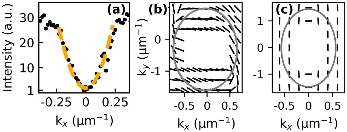The BIC properties. (a) Intensity of emission as a function of wave vector and its quadratic fit; (b,c) Linear polarization orientation (b - experiment, c - theory) demonstrating a vortex. In experiment, the signal from the central part is too weak. The elliptic curve is a guide for the eyes allowing to follow the tangential orientation of the linear polarization.
