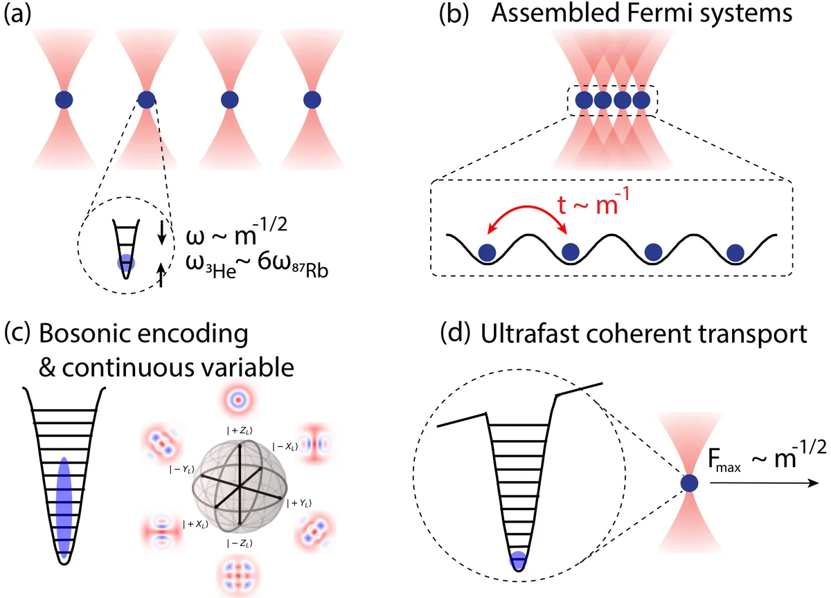 Advantages of small mass for quantum science applications. (a) The trap frequency of an atom in a tweezer scales as m^-1/2. (b) For fermionic hopping operations, the tunneling rate scales as t m^-1 for the same trap depth in recoil units E_R. (c) A large trap frequency enables bosonic encodings with Raman sideband drives and/or direct trap modulation. (d) The trap frequency also sets the limit on tweezer acceleration during coherent transport, so light atoms enable faster transport. Figure1