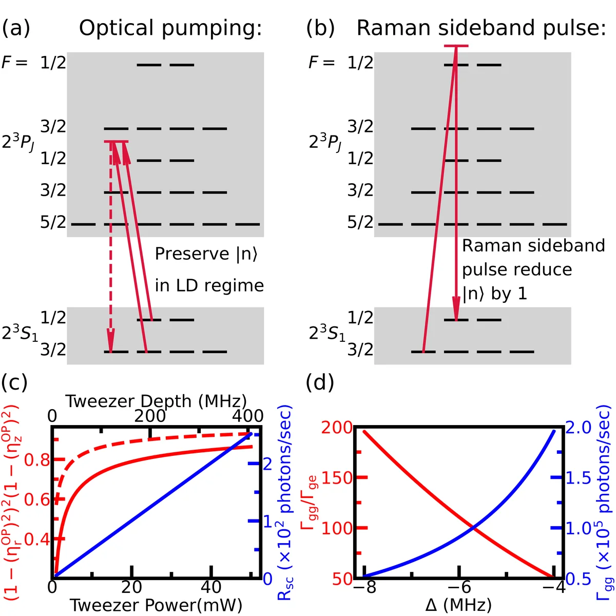 The schematic approach for Raman sideband cooling. (a) Optical pumping (OP) that should preserve the motional state |n. (b) Raman transitions between two ground states (one of which is the dark state of OP) that reduce n. OP and the Raman sideband pulses are applied in alternation. (c) Interplay between probability of occupying motional ground state (red) and off-resonant scattering rate from trap R_sc (blue), both as functions of tweezer power/depth (assuming a tweezer waist of w_01µ m). The red solid line represents (1-(_r^OP)^2)^2(1-(_z^OP)^2) while the red dashed line represents (1-(_r^OP)^2)^3. Although the off-resonant scattering rate increases with increase in trap depth/power, as needed to achieve higher ground state probability, this trap scattering rate is still slow compared to the expected cooling rate. (d) Interplay between “good” to “bad” decay ratio _gg/_ge and OP scattering rate _gg, both as functions of OP detuning . To avoid the anti-trapped excited state, finite OP detuning is utilized to realize a dressed state regime, such that the spontaneous decay happens predominantly between trapped dressed states (“good” decays), while still maintaining relatively fast OP scattering rate. Figure4