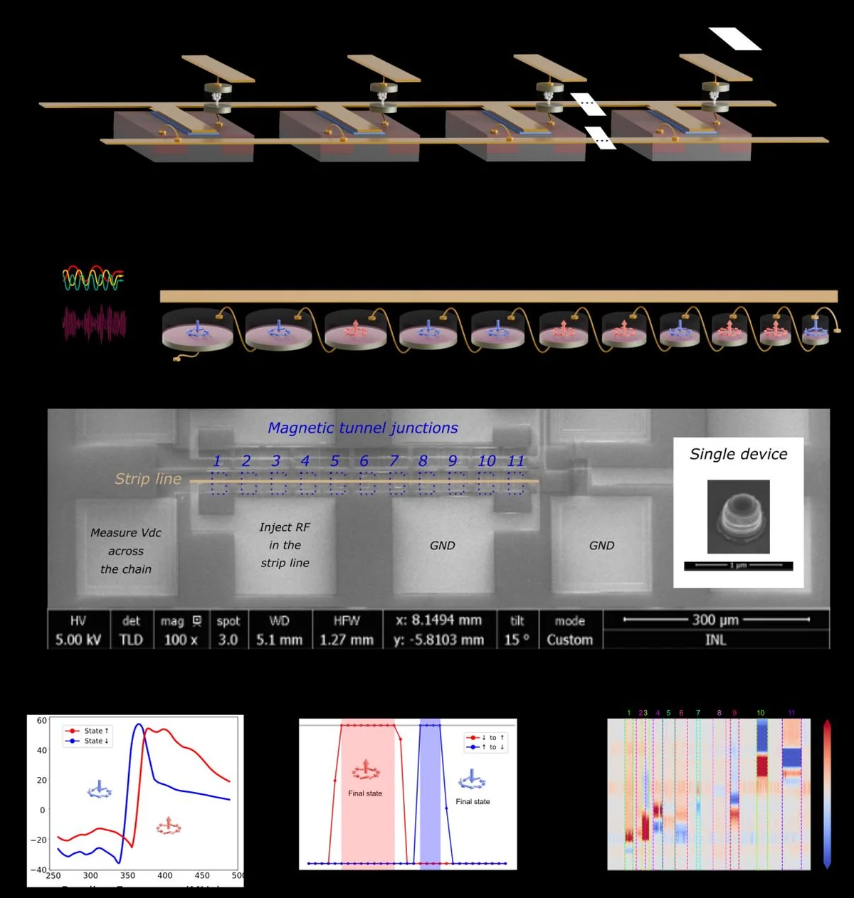 (a) Schematic of a row of memory devices with selector transistors and access lines within a crossbar array. (b) Schematic of a chain of spintronic synapses programmed by a broadcast RF signal. Both write and inference signals are frequency-multiplexed through a single access. (c) Scanning electron microscopy image of the chain of 11 magnetic tunnel junctions with its strip line and contact pads. Insert: single device pillar during fabrication. (d) Reading the synaptic state of a single MTJ: dc voltage Vdc across an MTJ versus RF input frequency, at a power of -8 dBm and under a 10 mT magnetic field. (e) Programming the synapse: switching probability versus RF input frequency, at a power of 0 dBm under a 10 mT magnetic field. (f) Response of the chain ΔV versus programming frequency and read frequency.