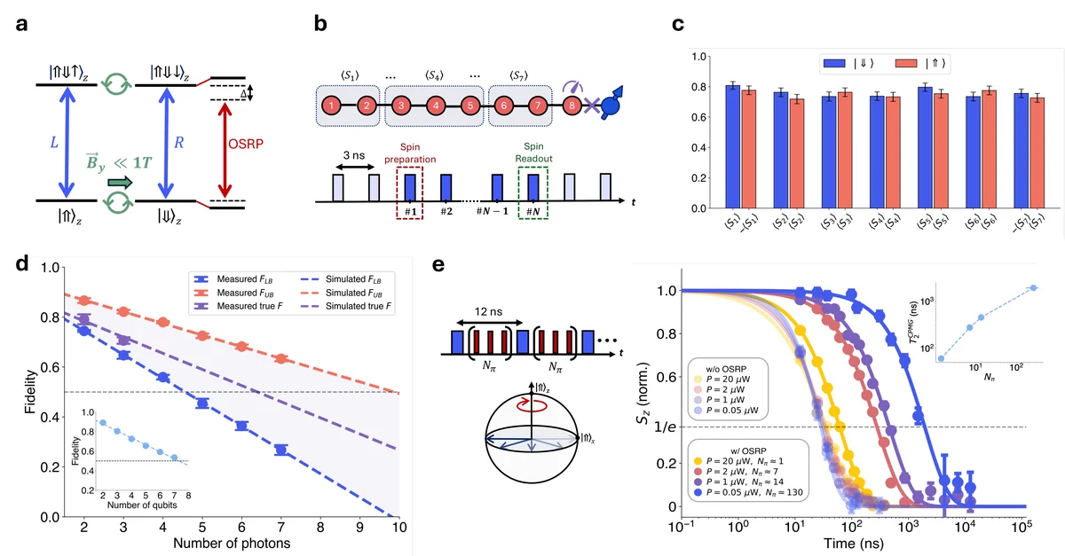 Spin–multi-photon entanglement and dynamical decoupling. The panels show the charged quantum-dot selection rules, the excitation sequence for generating spin–photon cluster states, stabilizer measurements for 7-photon linear cluster states, multipartite fidelity estimates as photon number increases, and optical-spin-rotation-pulse sequences that extend spin coherence.