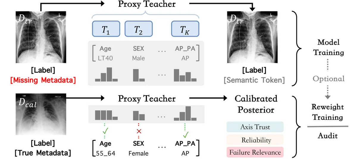 Overview of CAPRA. Proxy teachers extract semantic axes from images to generate tokens for model training. A small metadata-labeled set calibrates proxy predictions into reliable posteriors, which are used to estimate axis importance and support metadata-free subgroup auditing and optional robust reweighting.