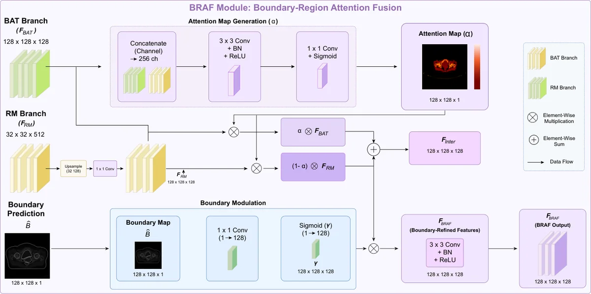 Architecture of the Boundary-Region Attention Fusion (BRAF) module. RM features are upsampled and channel-projected to match BAT resolution, fused via a learnable spatial-channel attention gate , and refined using the predicted boundary skeleton B to produce boundary-enhanced decoder features.