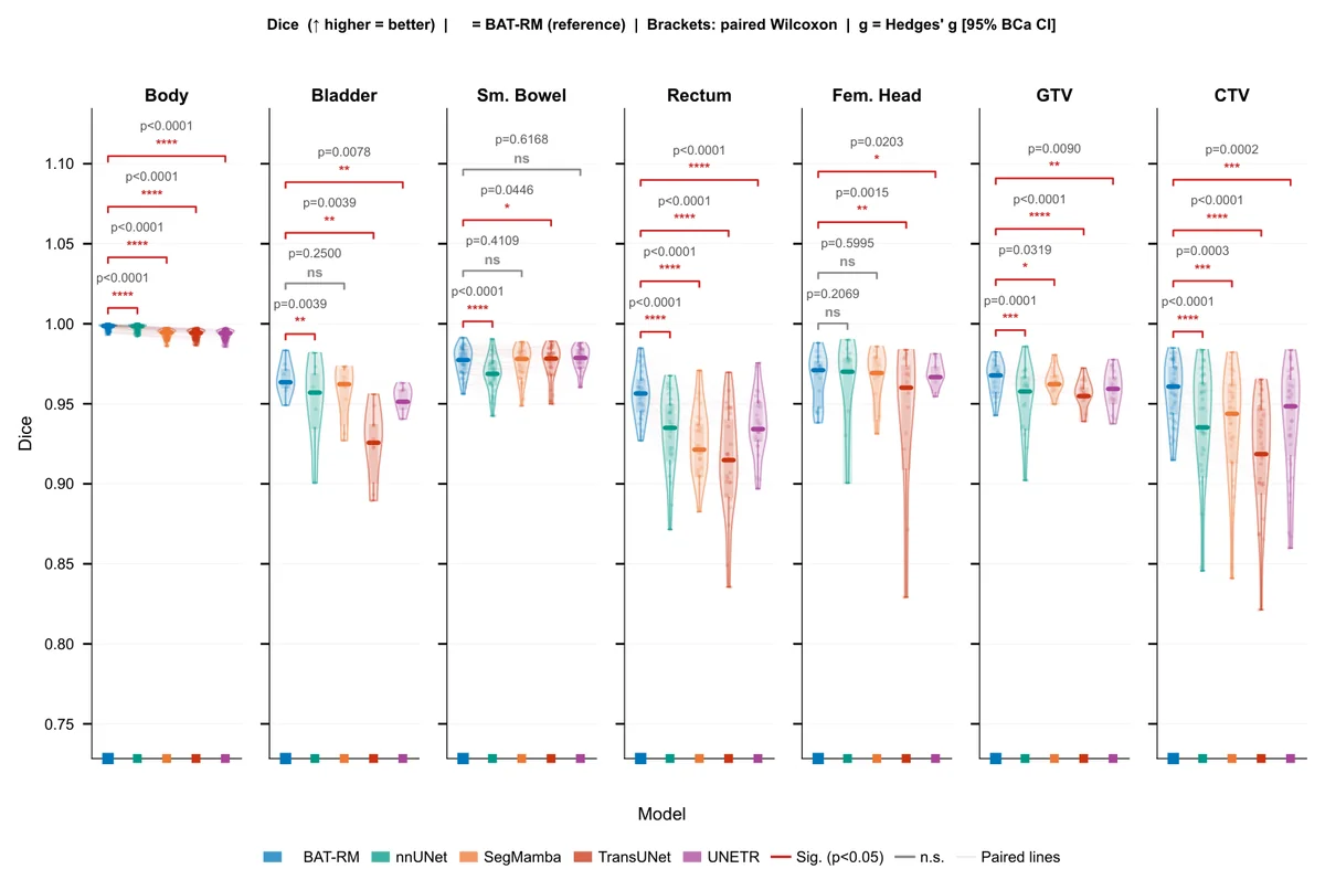 Paired violin-box plots of Dice Similarity Coefficient across seven anatomical classes and five segmentation models. Boxes indicate median and interquartile range; violins show kernel density estimation. Statistical significance brackets indicate paired Wilcoxon test results vs. BAT-RM (post Bonferroni-Holm): ns p 0.05, ^*p < 0.05, ^**p < 0.01, ^***p < 0.001, ^****p < 0.0001.