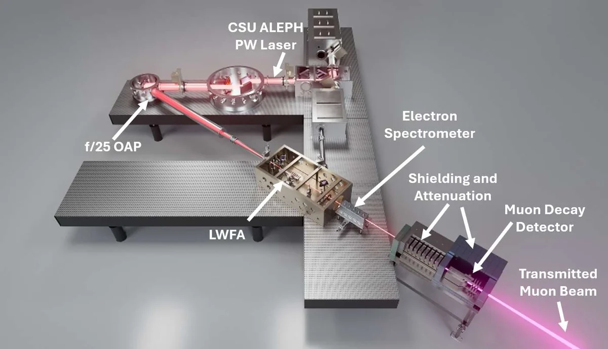 FIG 1. Conceptual rendering of the experimental setup employed for the generation and detection of laser-driven muons and electron positron pairs. λ=800nm laser pulses from the CSU ALEPH laser system were split and sent to two compressors. Approximately 1 J, sub-100 fs FWHM pulses were focused using a diffractive axicon into a 30 cm long nitrogen/hydrogen gas jet to produce the assisted self-guiding structure described in the text. The bulk of the laser energy, up to 20 J, ~40 fs FWHM duration were focused with a f/25 off-axis parabola into the entrance of the gas jet. The accelerated electron spectrum and charge were measured using a magnetic spectrometer with a lanex plate imaged onto a CCD detector. Following the magnetic spectrometer, the majority of the electrons are stopped by a beam dump consisting of lead and high density polyethylene. A shielded detector consisting of a large volume EJ- 200 scintillator plastic coupled to a 125 mm diameter photomultiplier tube (PMT) was used for the muon detection via muon decay described below.