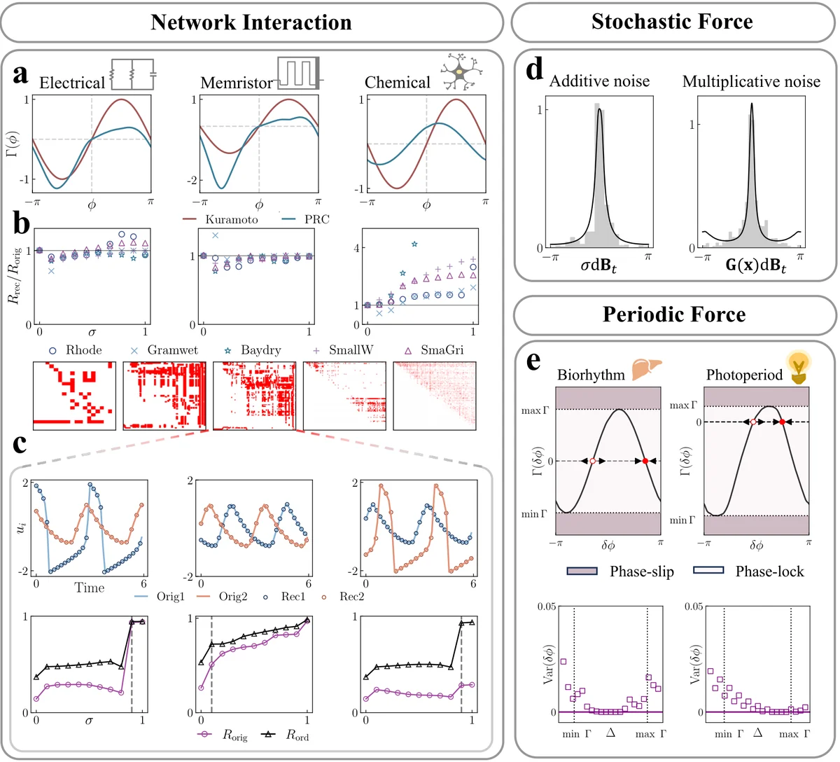 Phase synchronisation mechanism against various external forces. The panels compare phase response functions for different coupling functions, evaluate statistics across five realistic networks, compare original and reconstructed trajectories for a representative network, and test theoretical predictions against numerical results for stationary distributions and periodic forcing. The figure highlights where the reduced phase dynamics tracks full simulations and where coupling that changes the oscillation geometry causes deviations.