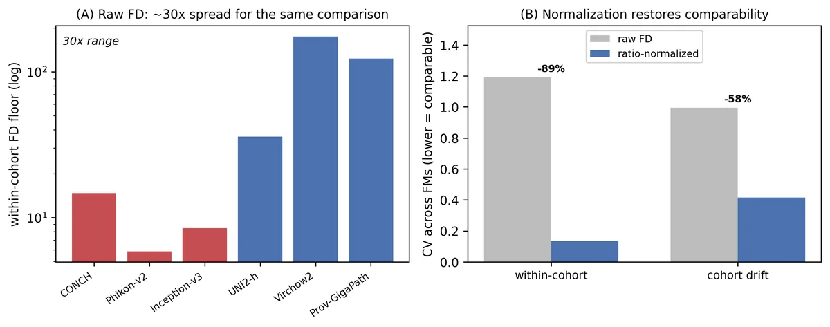 (A) The within-cohort distance floor spans about thirty-fold across encoders for the same com- parison; bar color marks the two groups identified later. (B) The ratio normalization sharply reduces the across-encoder coefficient of variation on two independent comparisons.