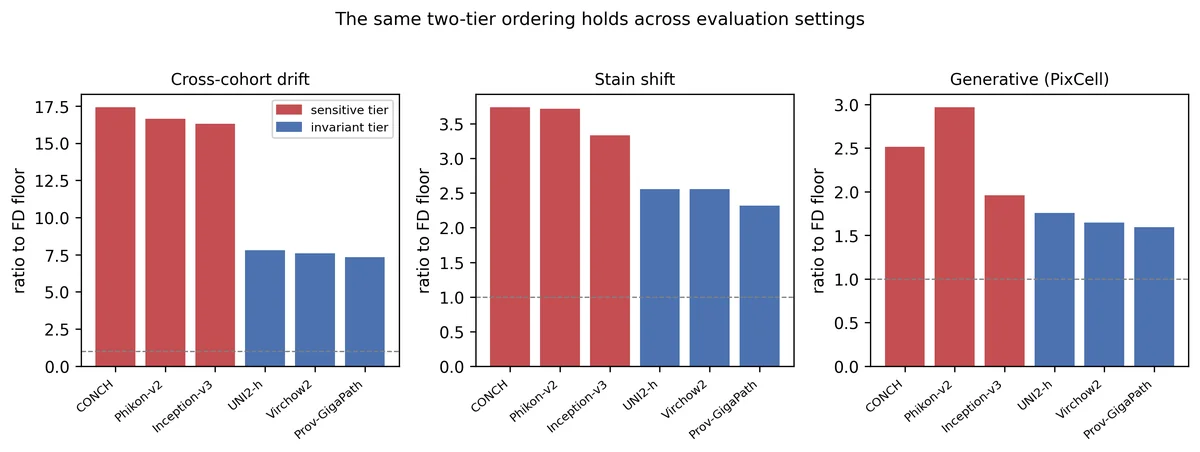 The same two-group ordering of encoders appears for cross-cohort drift, stain shift and generative evaluation. Bars are colored by group.