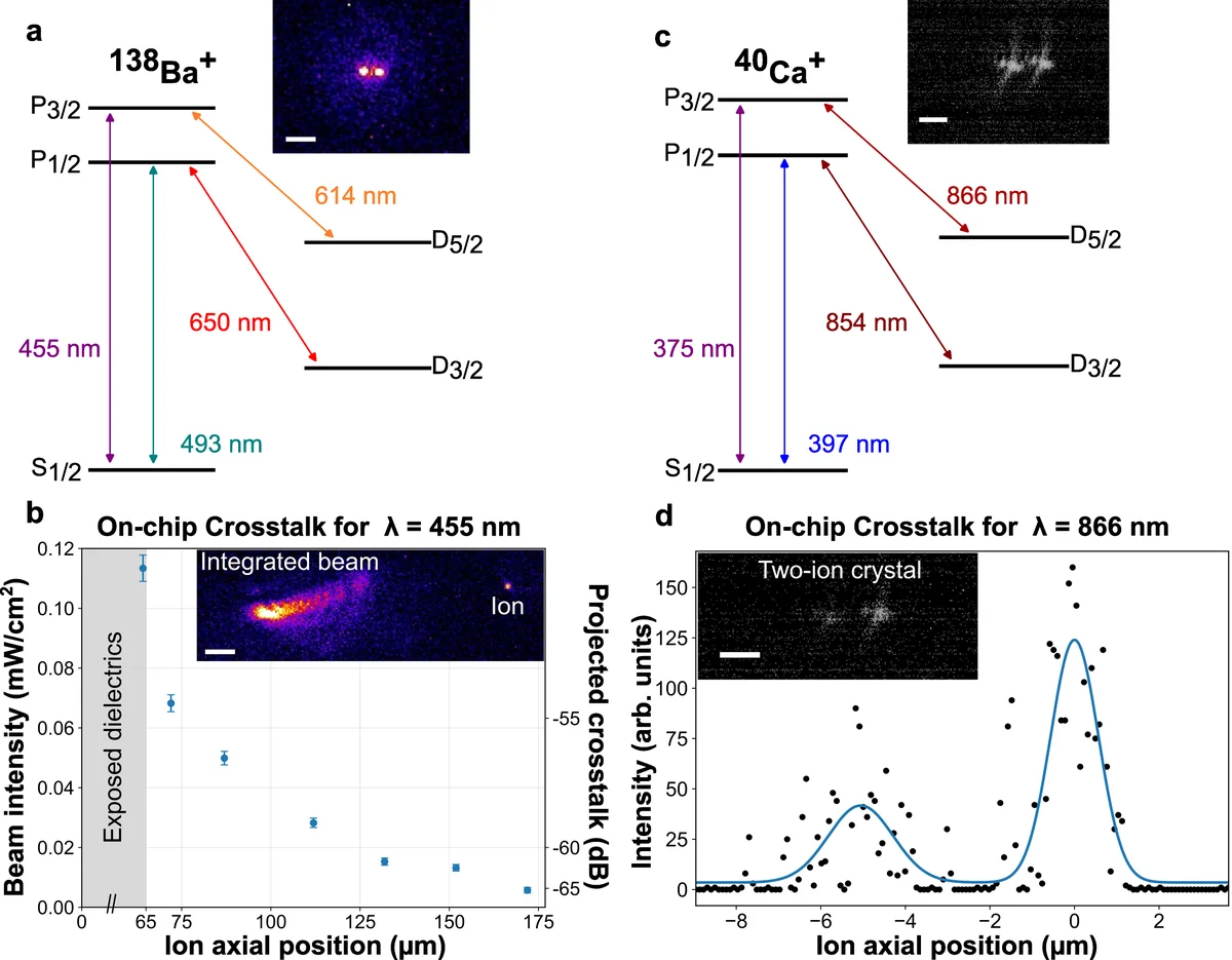 Ion trapping and crosstalk results. a, Relevant energy levels and optical transitions of ^138Ba^+. The inset shows the fluorescence image of two trapped ^138Ba^+ ions with free space 493 nm and 650 nm light shining onto the ions. b, Relevant energy levels and optical transitions of ^40Ca^+. The inset shows the fluorescence image of two trapped ^40Ca^+ ions directly on top of the mirror using all free-space beams. c, Measured 455~nm optical crosstalk intensity as a function of ion position near the dielectric cutout. Blue points show the intensity inferred from the measured excitation rate of the S_1/2 P_3/2 transition of Ba^+, revealing that the intensity decreases with increasing distance from the dielectric mirror. The shaded region indicates the dielectric/cutout region with its edge at x=65~µm. The ion position is plotted relative to the center of the dielectric cutout (x=0). The inset shows a camera image of the ion and the integrated beam within the same field of view. d, Demonstration of single-ion selective repumping with integrated 866 nm light delivered predominantly to one ion of a 5~µm-spaced Ca^+-ion pair. The plot shows the ion florescence intensity measured with a CCD-camera and two Gaussian fits showing the addressed ion fluorescence more strongly compared to its neighbor. The inset shows the camera image of two Ca^+ions above the mirror. All scale bars are 5 µm.