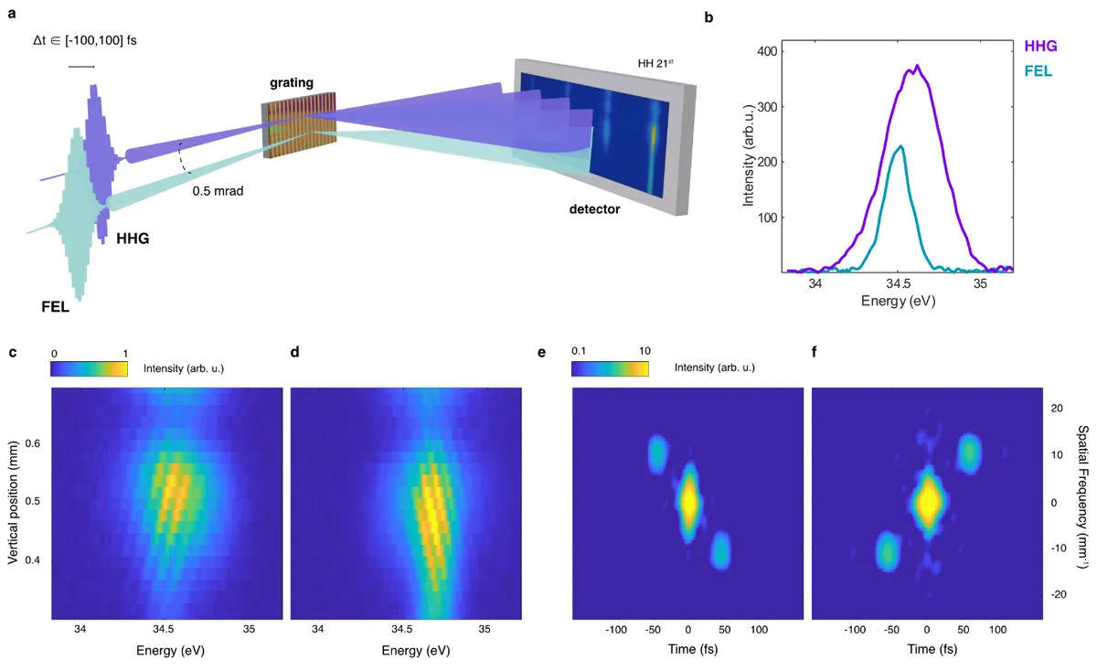 Experimental scheme for single-shot HHG and FEL interferograms and measured spectrograms. a. Schematic of the experiment: the two independent sources, HHG and FEL, propagate in a quasi-collinear geometry. After being spectrally dispersed by an XUV grating, the FEL and single harmonic 21st spatially (partially) overlap at the detector where their interference is collected. b. Example of single-shot spectra of the HHG (purple) and FEL (green) beams. The FEL spectrum is fully overlapping with the HHG one. c. Normalized interferogram maps corresponding to positive delay, i.e. the interference fringes have a positive slope, and d. negative delay, i.e. the interference fringes have a negative slope. e. and f. Cross-correlation maps (2D Fourier Transform, FT) of the interferograms in b and c, respectively.