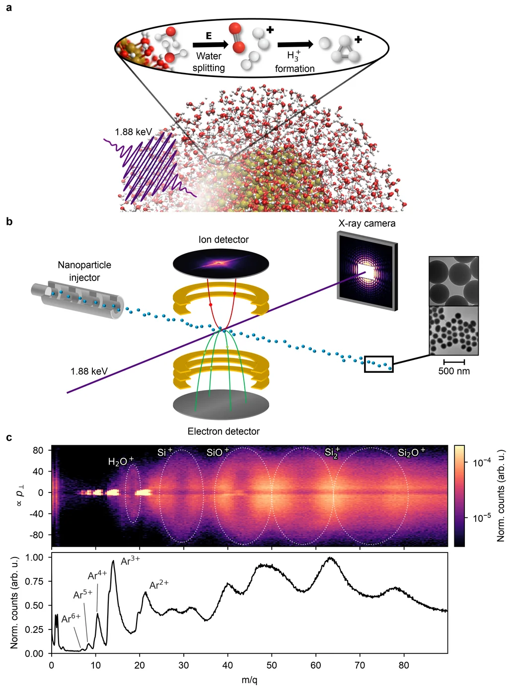 X-ray charging of hydrated silica nanoparticles drives surface trihydrogen formation. (a) A silica nanoparticle is ionized by a 1.88~keV free-electron laser pulse, leading to surface electric fields on the V/nm scale. On the nanoparticle surface, water is ionized and fragments, including into H2 and H2+. They give rise to the formation of H and H3+. (b) Experimental setup showing the integration of three complementary detection schemes: ion velocity map imaging (VMI), electron time-of-flight (eTOF) spectroscopy, and coherent diffractive imaging (CDI). (c) Transverse momentum versus mass-to-charge ratio m/q, and the corresponding mass spectrum, of the ionic species.