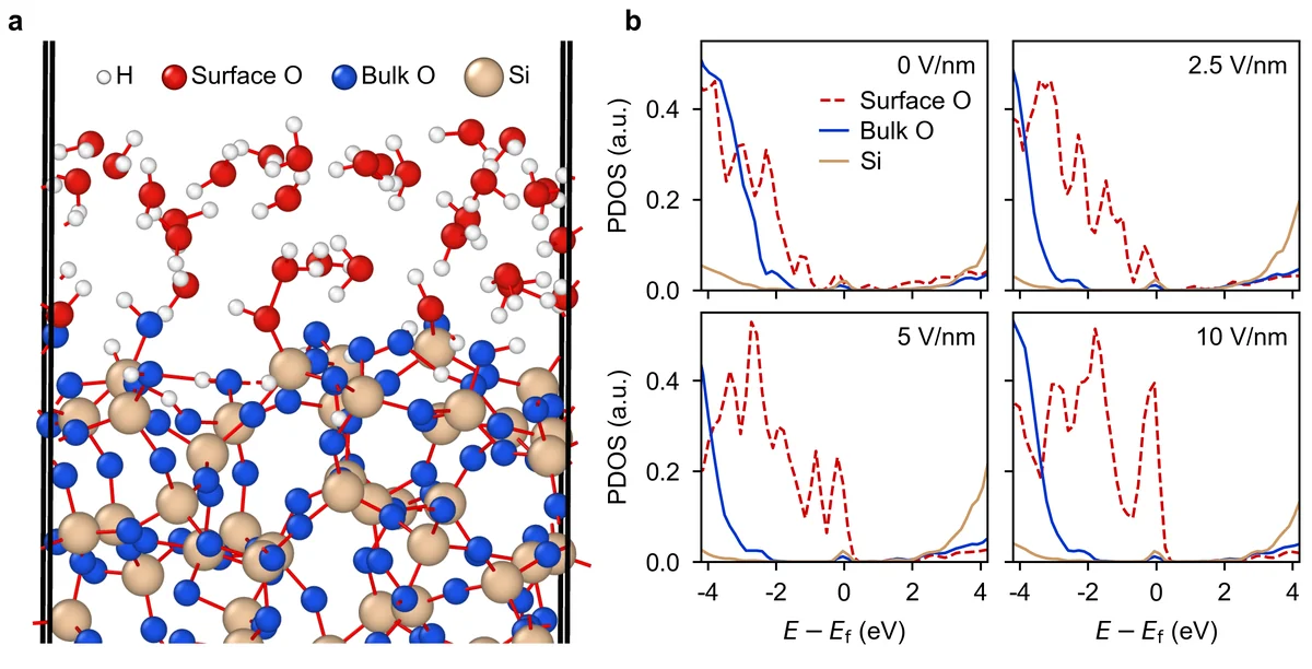 Field-induced band tilting promotes hole transfer into the surface water layer. (a) Nanometer-scale silica-water interface used in the first-principles simulations, representing the nanoparticle surface under the long-range charging field. (b) Atom-decomposed partial density of states (PDOS) of the interface under varying applied electric field. As the field increases, the water-derived O 2p states progressively shift into the intrinsic surface gap region, thereby increasing the driving force and hybridization for interfacial hole localization.