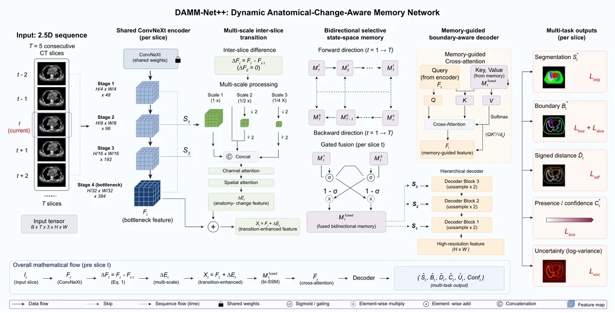 Overview of the proposed DAMM-Net++ architecture. The input is a sequence of T consecutive axial CT slices, each passed through a weight-shared ConvNeXt encoder. The Multi-Scale Inter-Slice Transition branch computes inter-slice feature differences; the Bidirectional Selective State-Space Memory accumulates anatomy-change-informed context in both through-plane directions; and the Memory-Guided Boundary-Aware Decoder reconstructs full-resolution predictions. The network produces segmentation, boundary, signed distance map, presence, and uncertainty outputs.