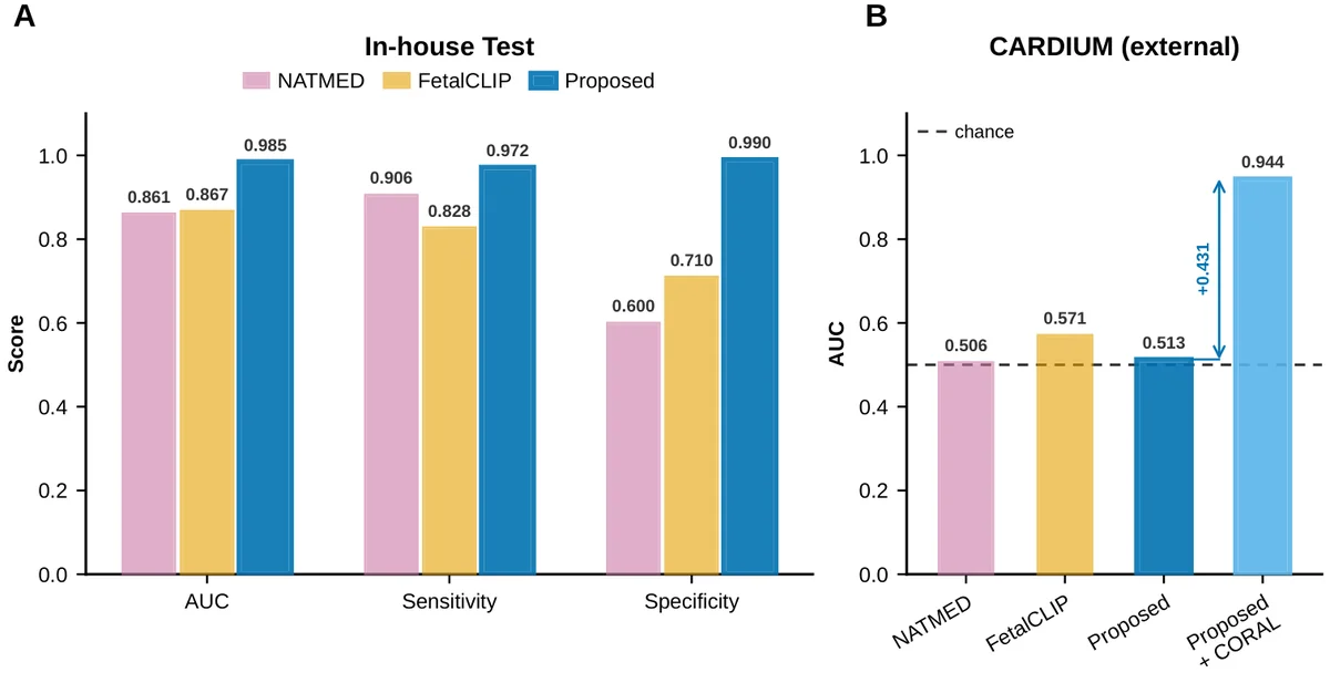 CHD screening performance. (A) Internal FUSE test set (177 subjects): AUC, sensitivity, and specificity of NATMED, FetalCLIP, and the proposed cardiac-gated MIL model. (B) External CARDIUM cohort: AUC of NATMED, FetalCLIP, and the proposed model without adaptation, and of the proposed model after label-free CORAL adaptation. The dashed line marks chance.