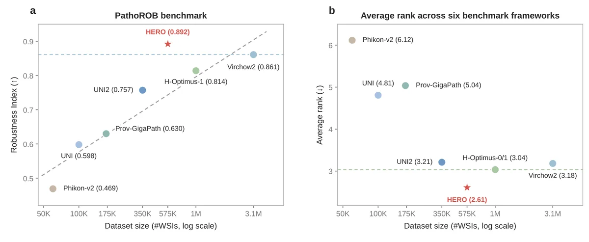 Robustness and overall standing versus pretraining dataset size. (a) PathoROB Robustness Index (higher is better). The gray dashed line is a log-linear fit to the six baselines. (b) Average rank across the six benchmark frameworks, each weighted equally (lower is better). Colored dashed lines mark the strongest public baseline. Per-framework ranks are in Table~tab:overall_ranking.