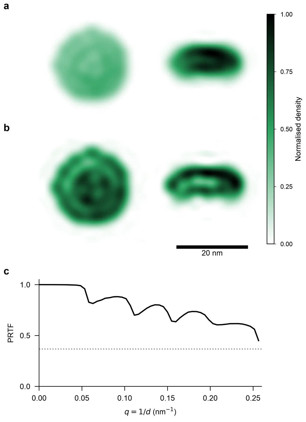Three-dimensional PS I reconstruction with projections, density slices, and phase retrieval transfer function