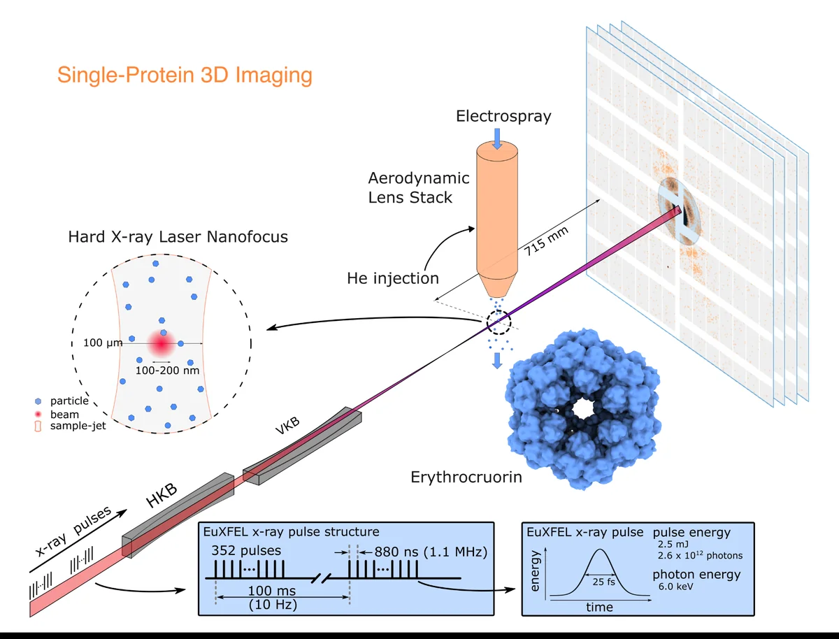 Experimental setup for single-particle diffractive imaging of aerosolized erythrocruorin complexes with a nanofocused 6 keV XFEL beam.