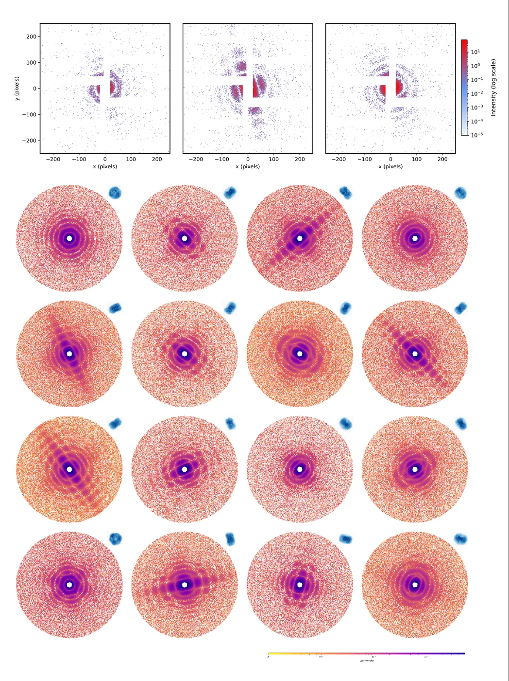 Single-particle erythrocruorin diffraction patterns and representative two-dimensional EMC class averages.
