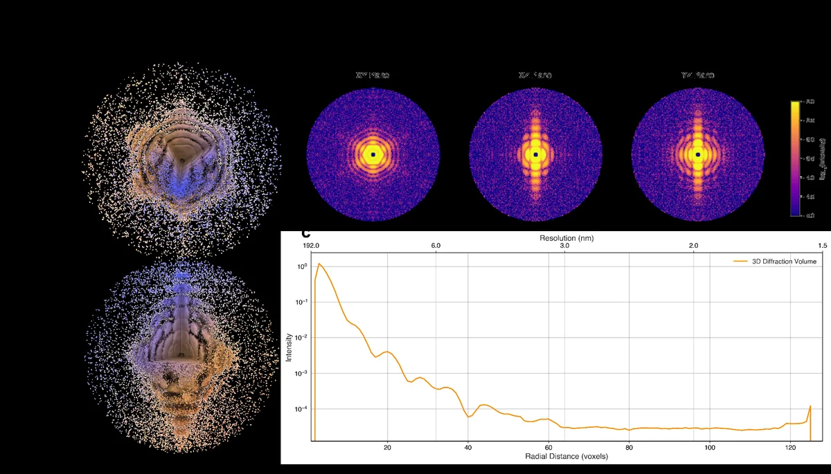 Three-dimensional Fourier intensities and reconstruction from single-particle erythrocruorin diffraction data.